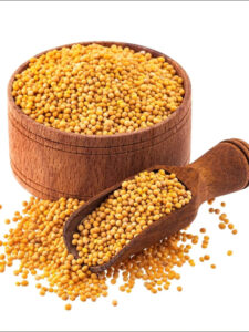 cropped-Mustard-4-w.jpg