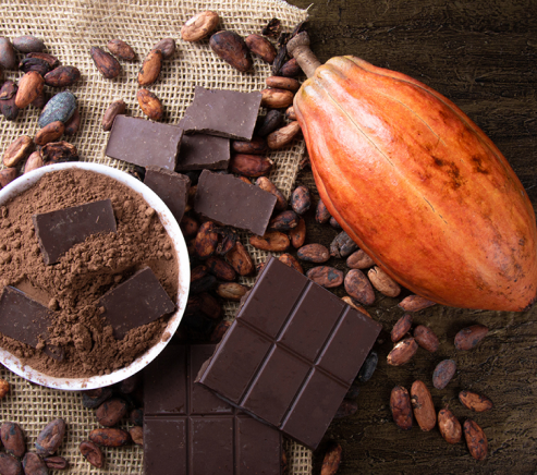 Dama Chocolates premium chocolate e-commerce store