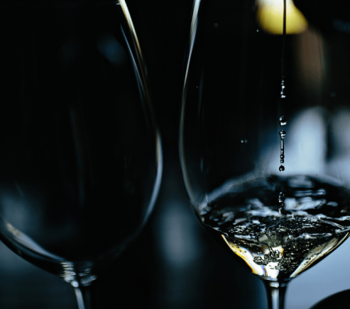 Vinosophy wine and beverage store