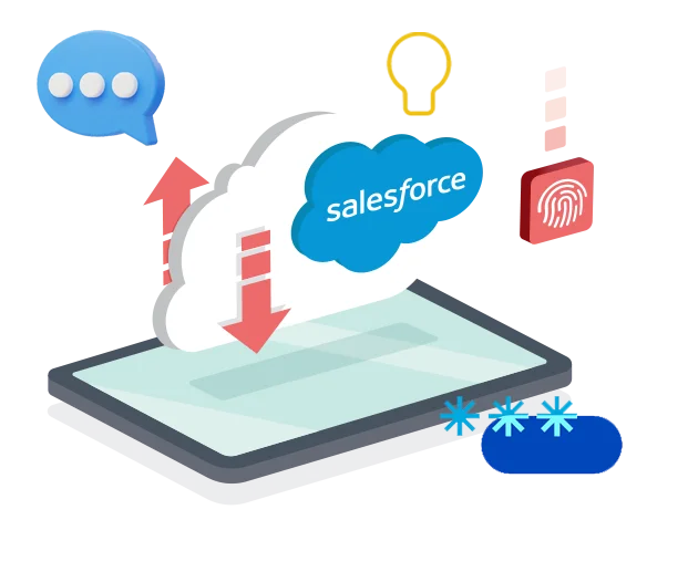 Salesforce maintenance support team