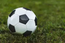 Sports industries